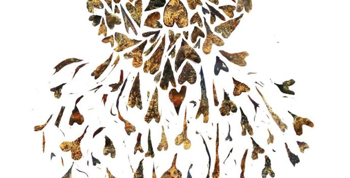 100 Hearts of the Sea – the Work of Eva Kipp