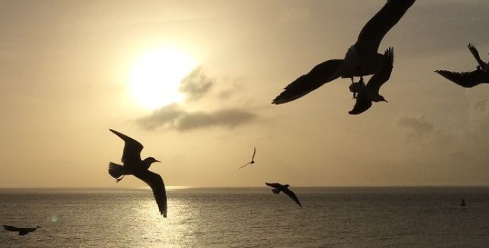A Life-changing Challenge: Allowing Fear and Finding Comfort in Peace