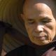 44 Mindful Moves in Daily Life – Thich Nhat Hanh