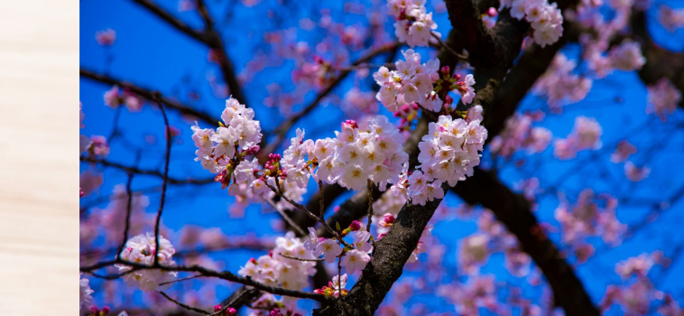 Spirituele psychologie module 6